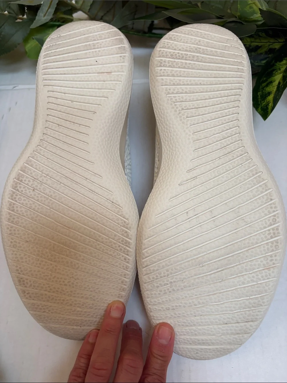 allbirds white green